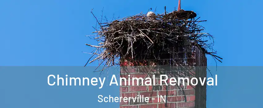 Chimney Animal Removal Schererville - IN