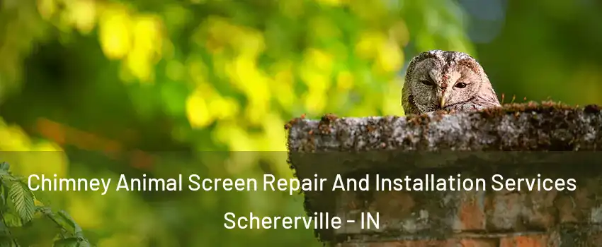  Chimney Animal Screen Repair And Installation Services Schererville - IN