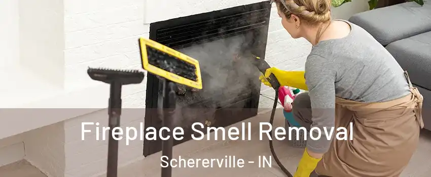  Fireplace Smell Removal Schererville - IN